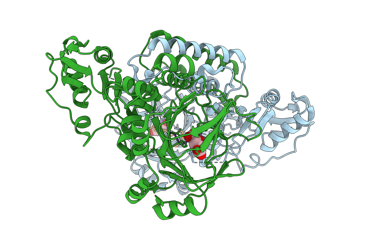 4BXF image