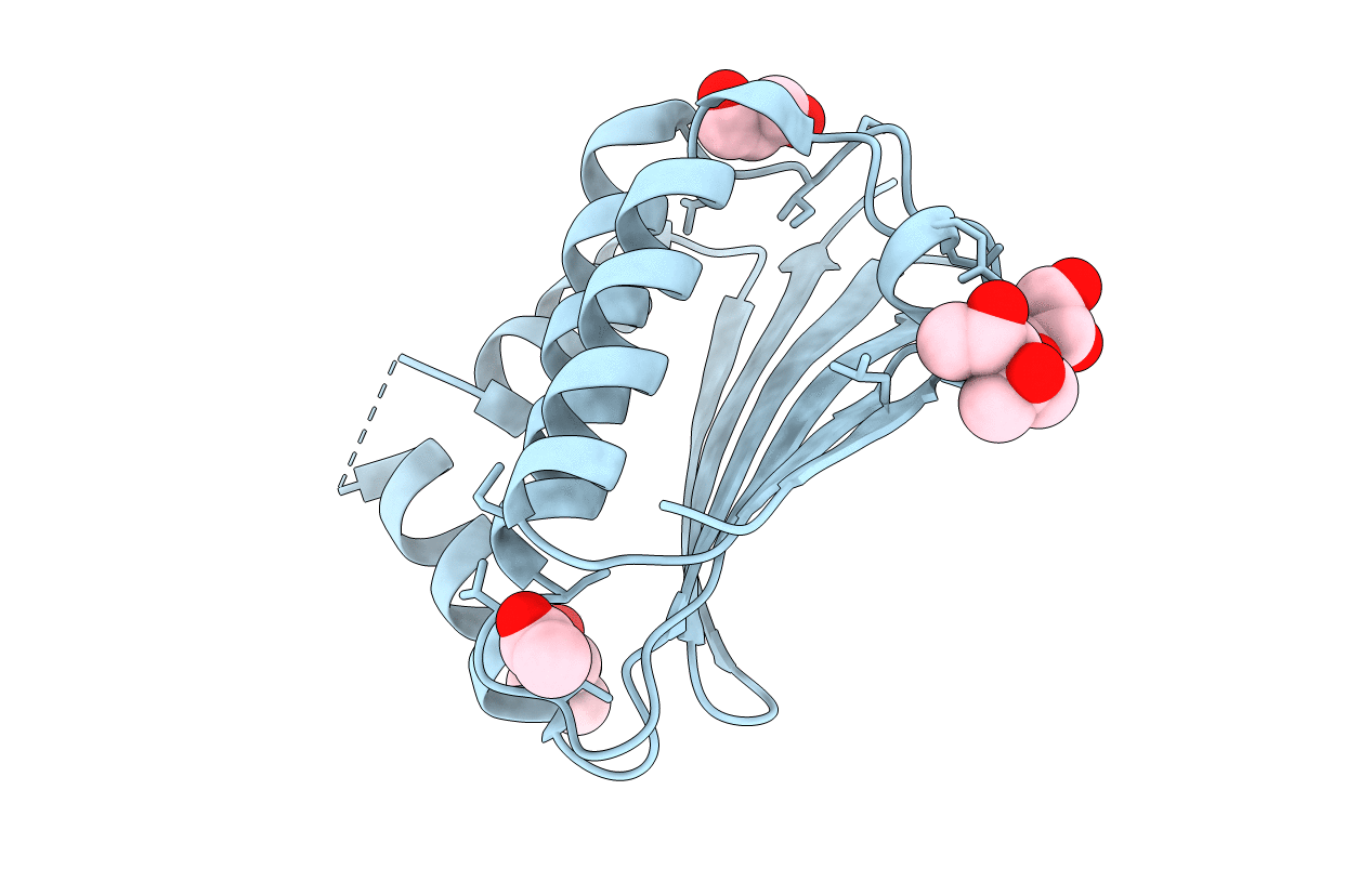 4BXI image