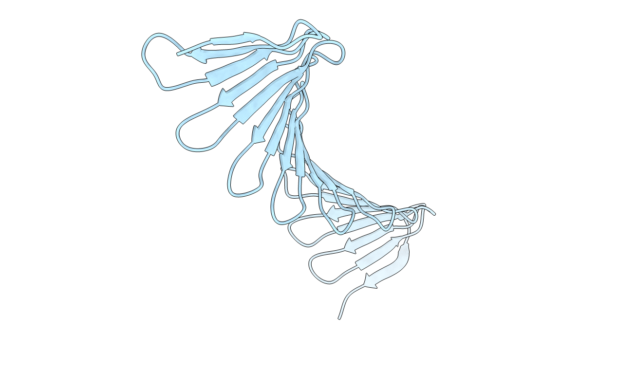 4BXP image