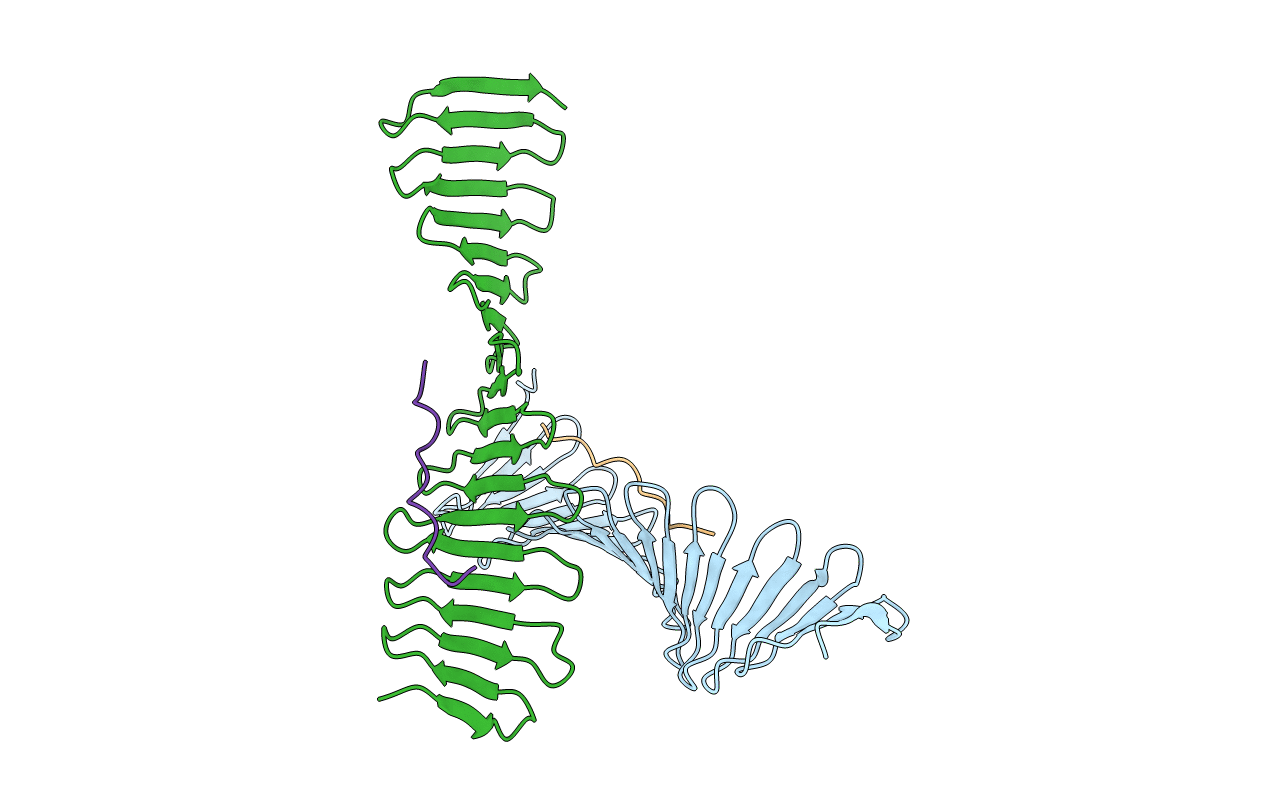 4BXR image