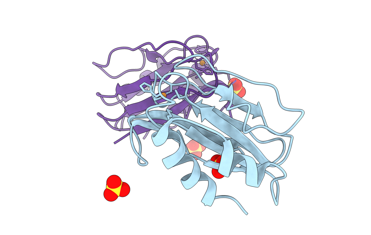 4BXV image