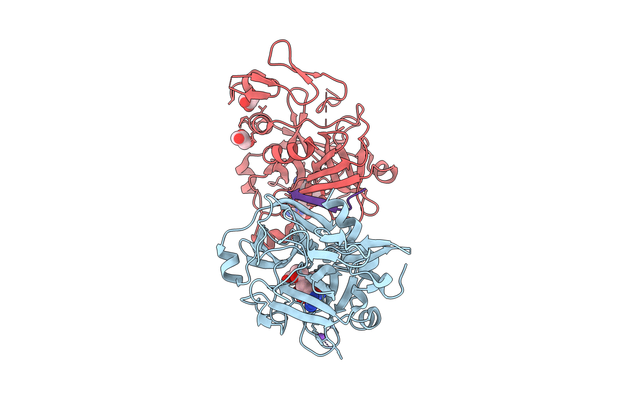 4BXW image