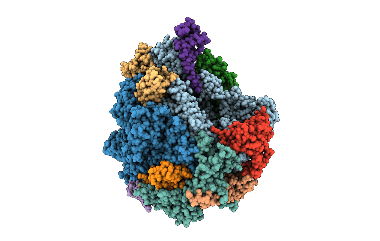 4BXZ image