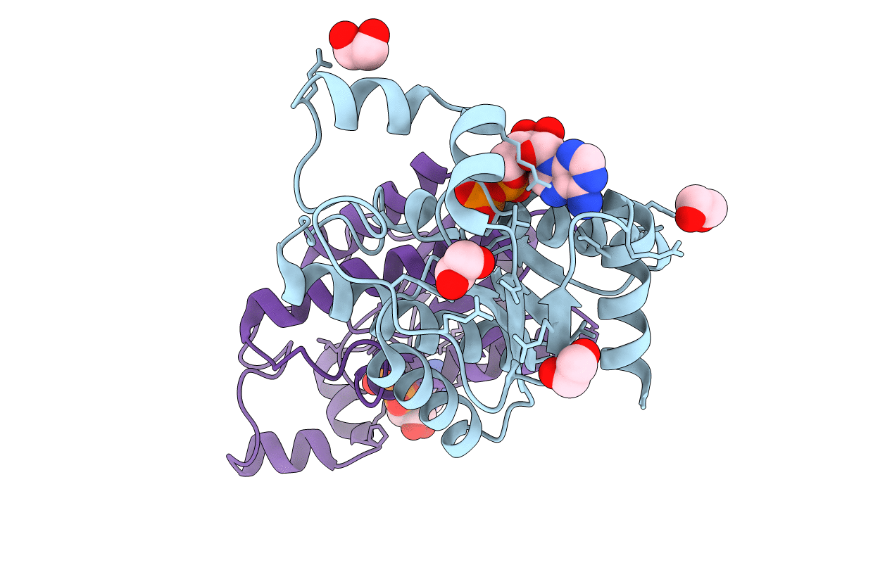 4BZP image