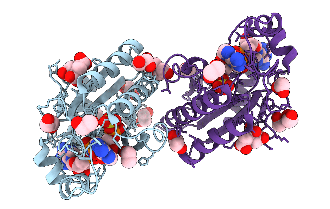 4BZX image