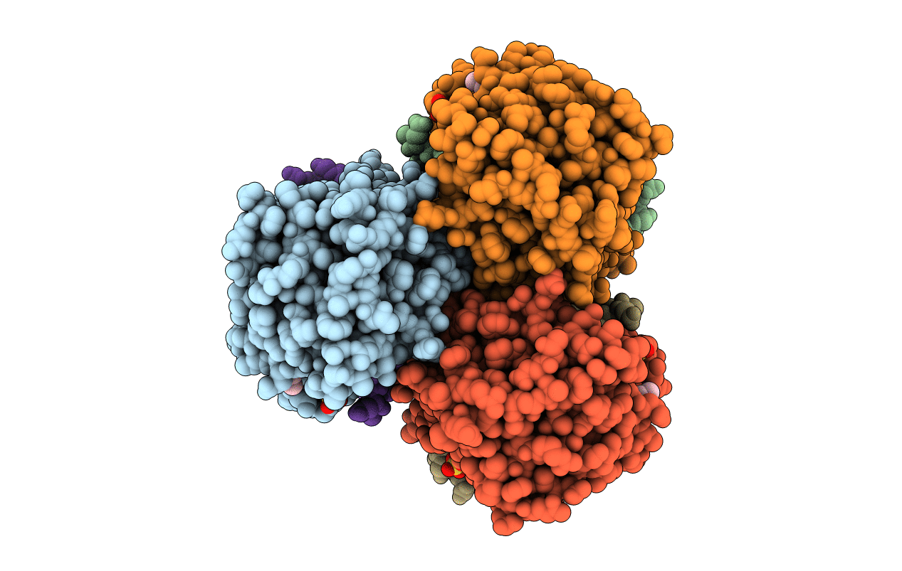 4C01 image