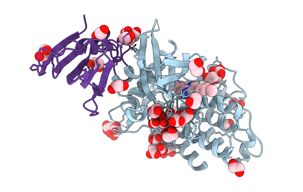 4C02 image