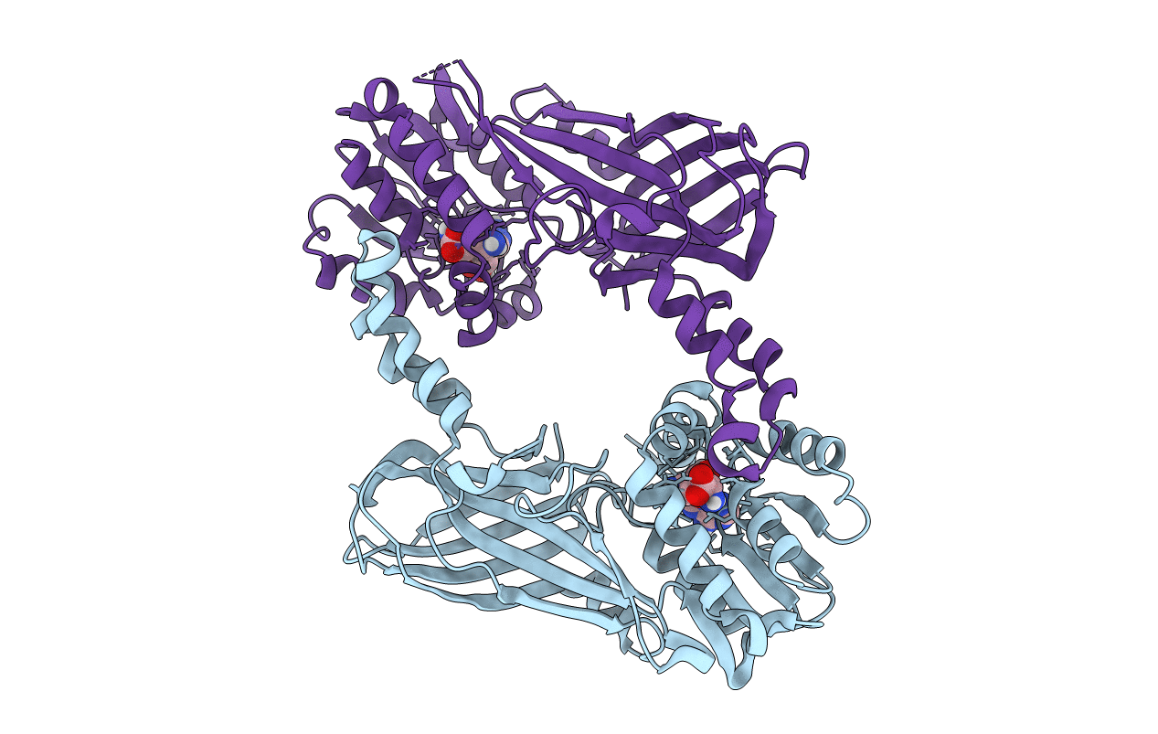 4C03 image