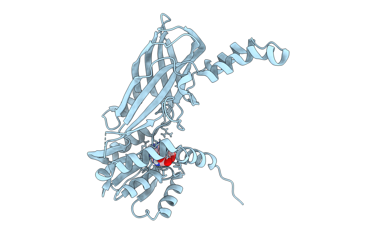4C04 image
