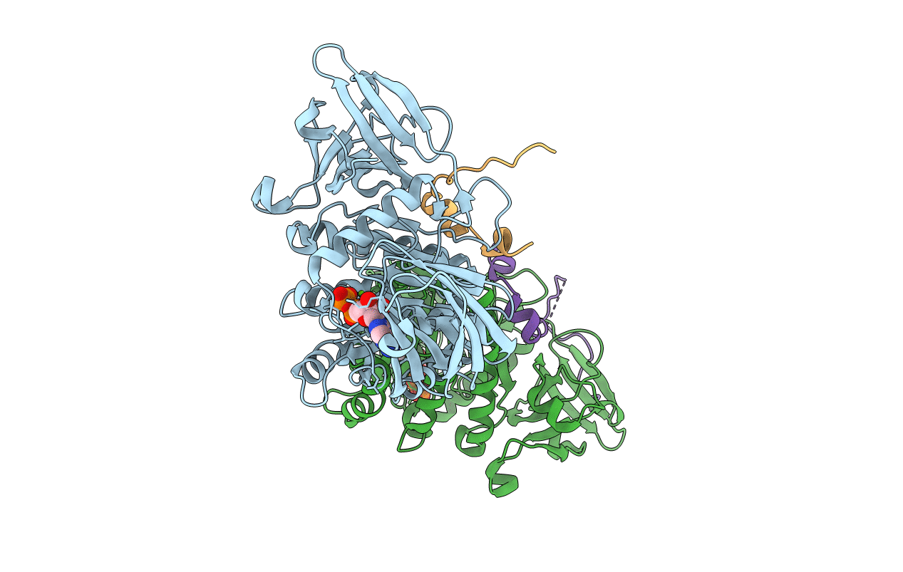 4C0B image
