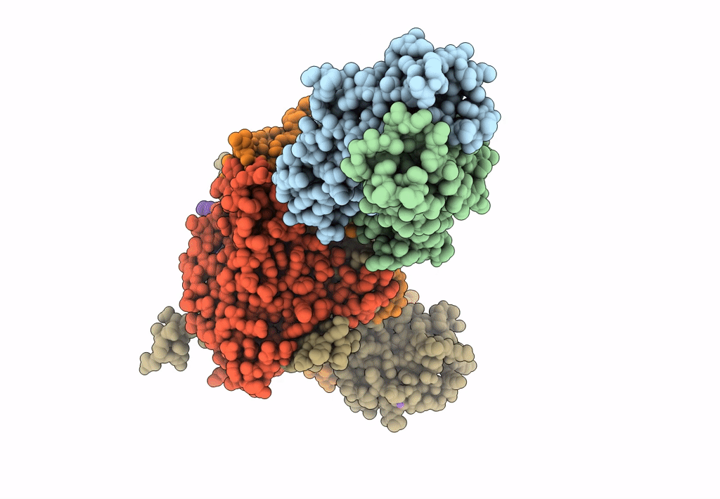 4C10 image