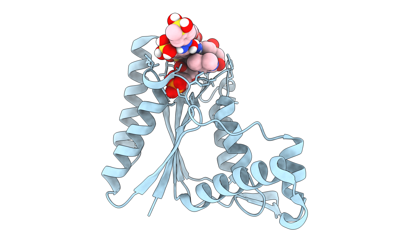 4C14 image
