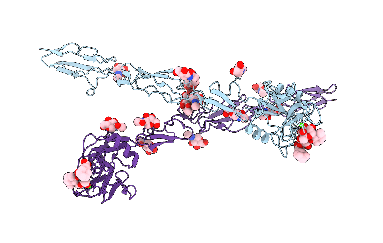 4C16 image