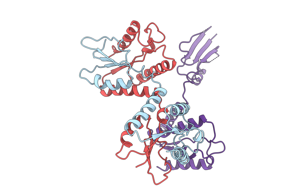 4C1B image