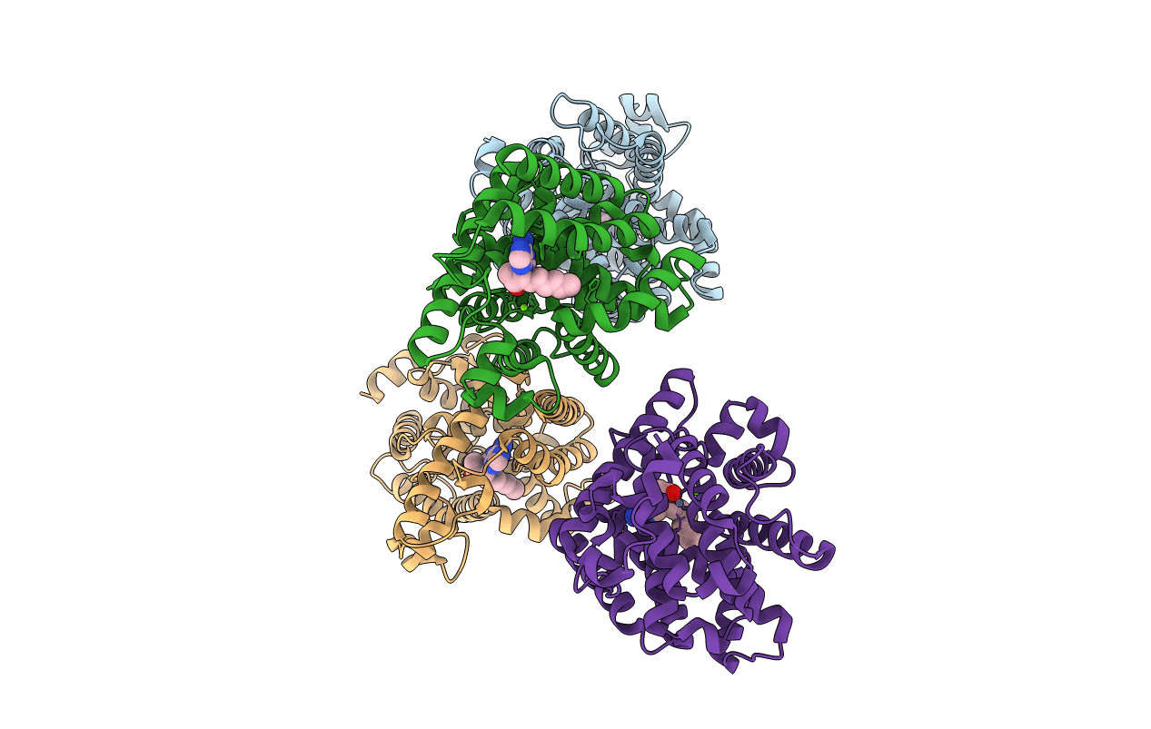 4C1I image