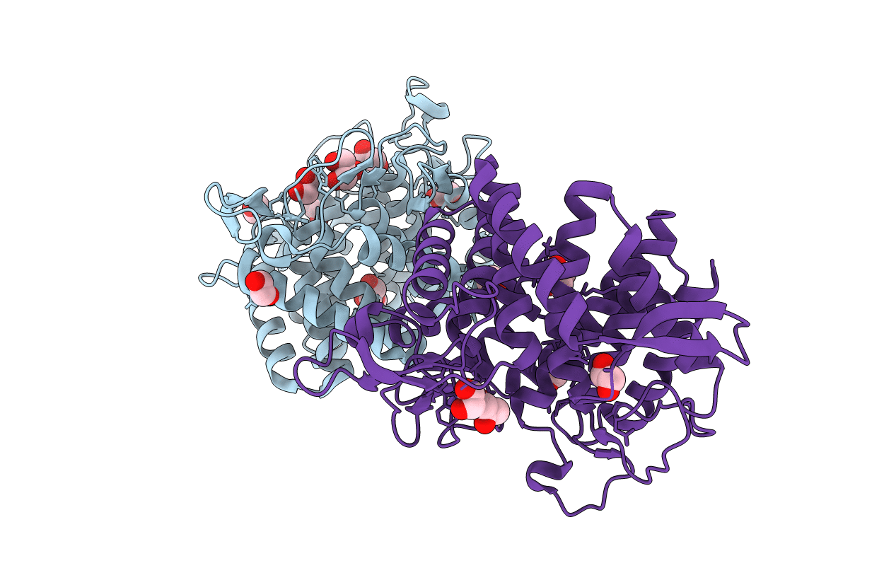 4C1S image