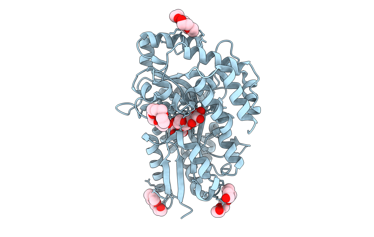 4C1U image