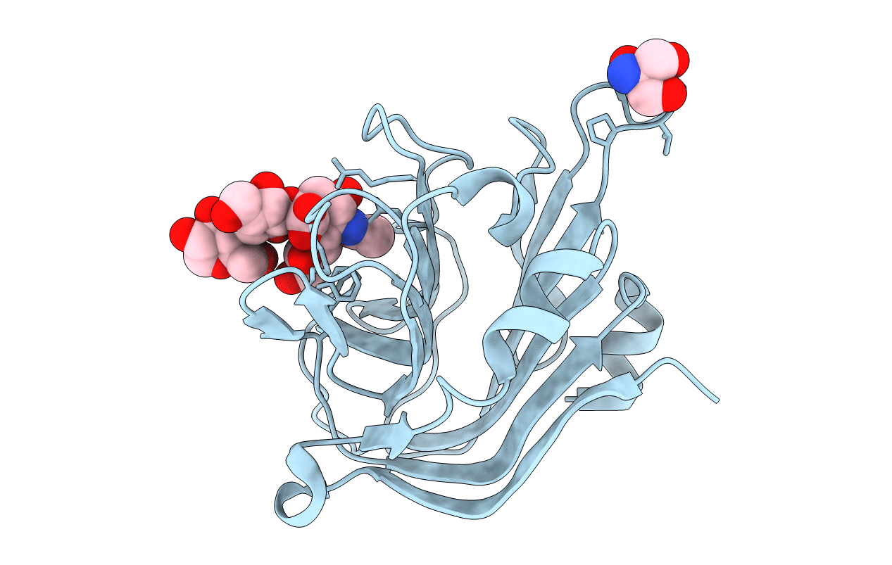 4C1W image