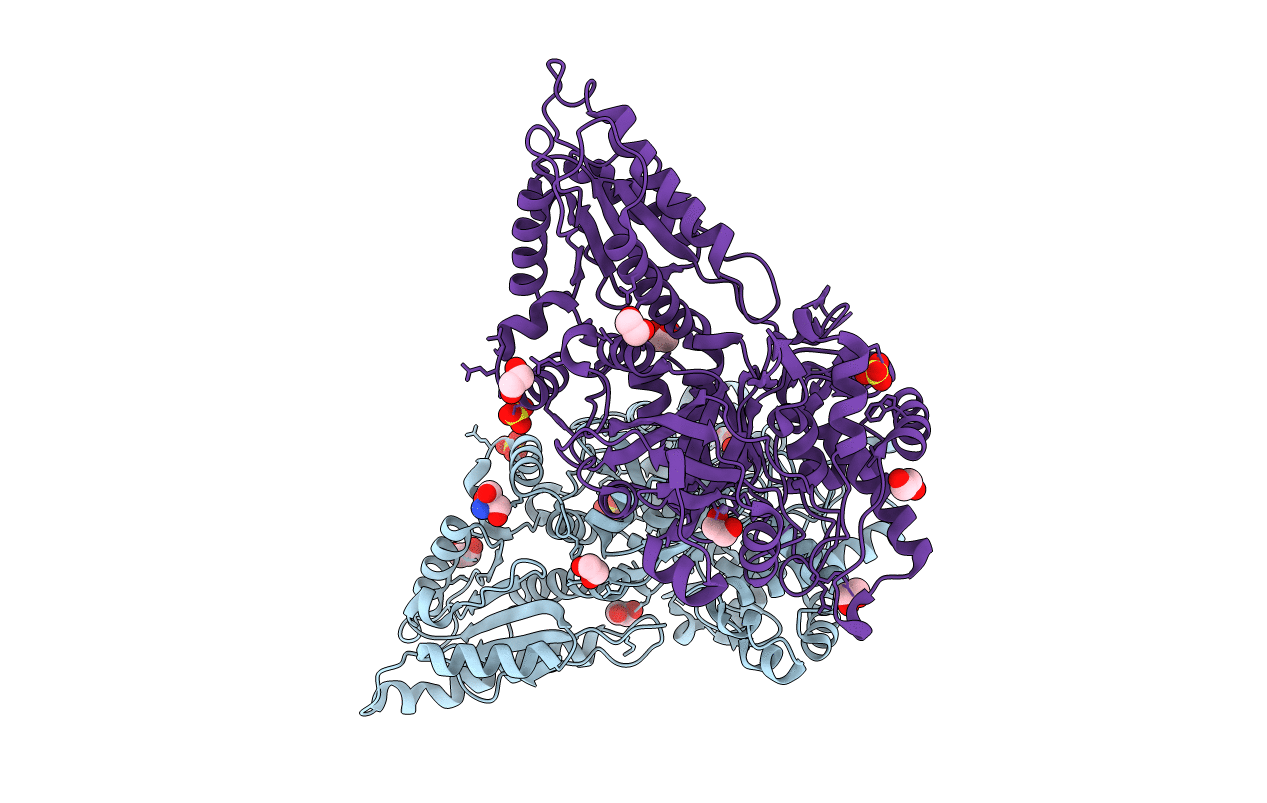 4C20 image