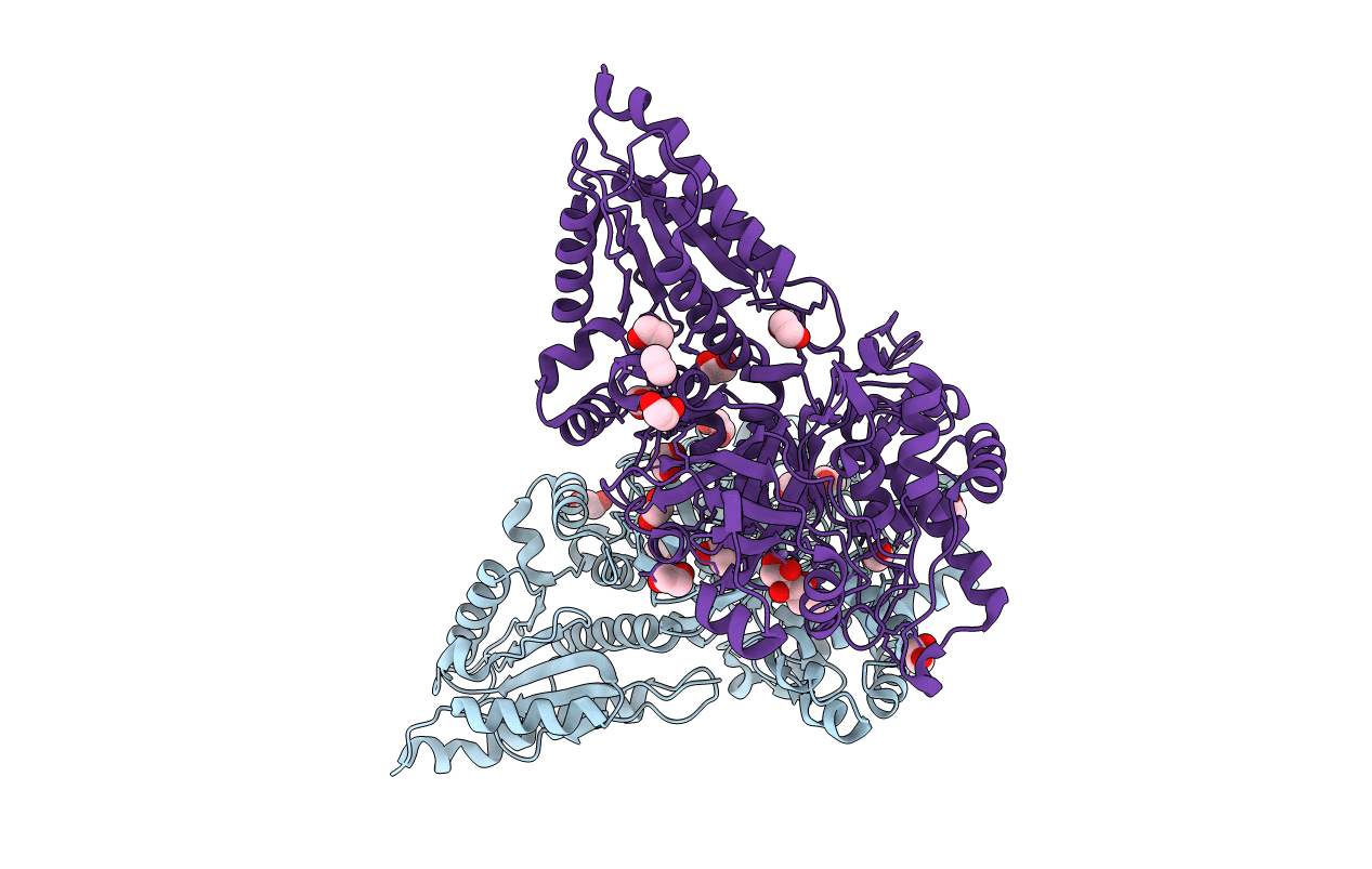 4C21 image