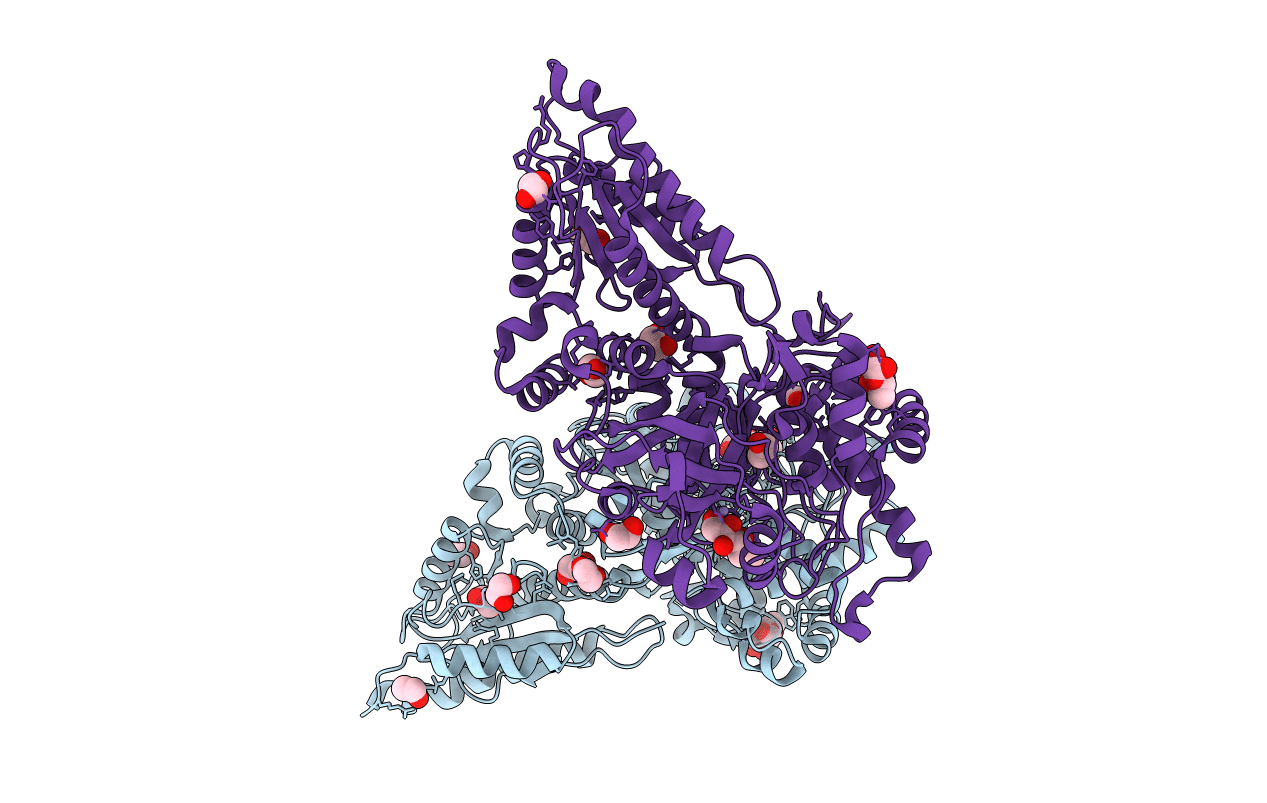4C22 image