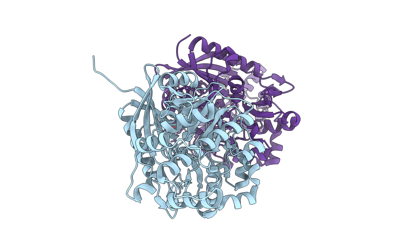 4C23 image