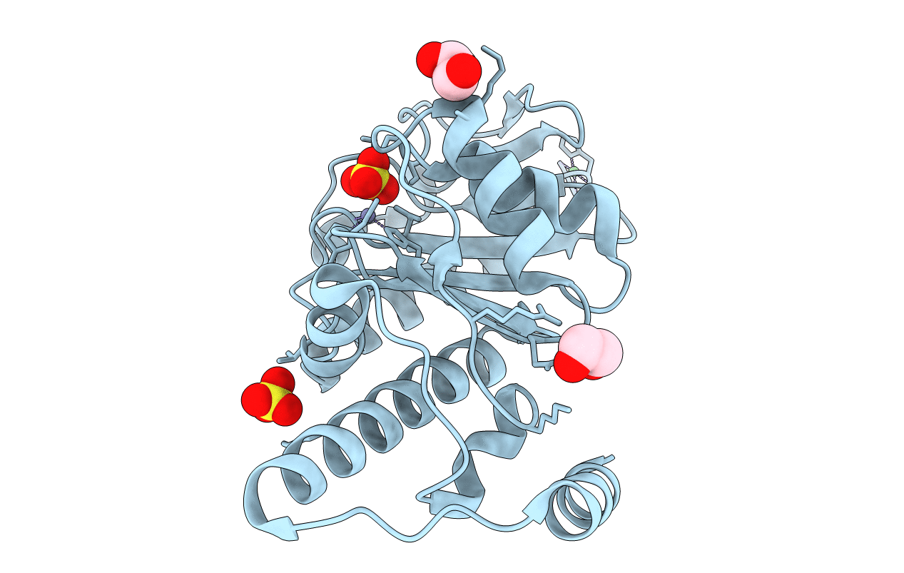 4C24 image