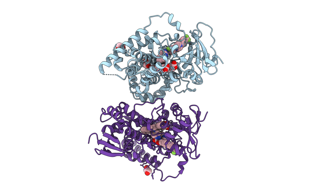 4C27 image