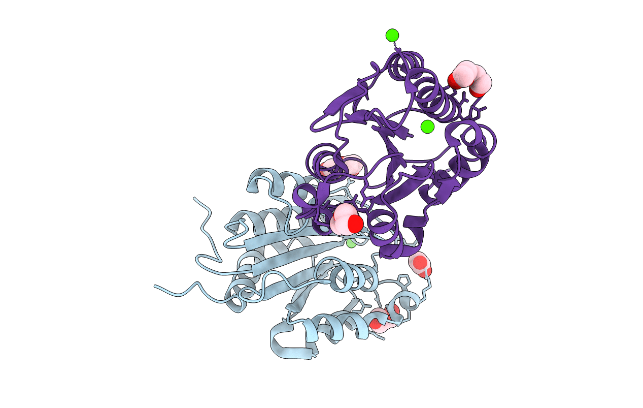 4C29 image