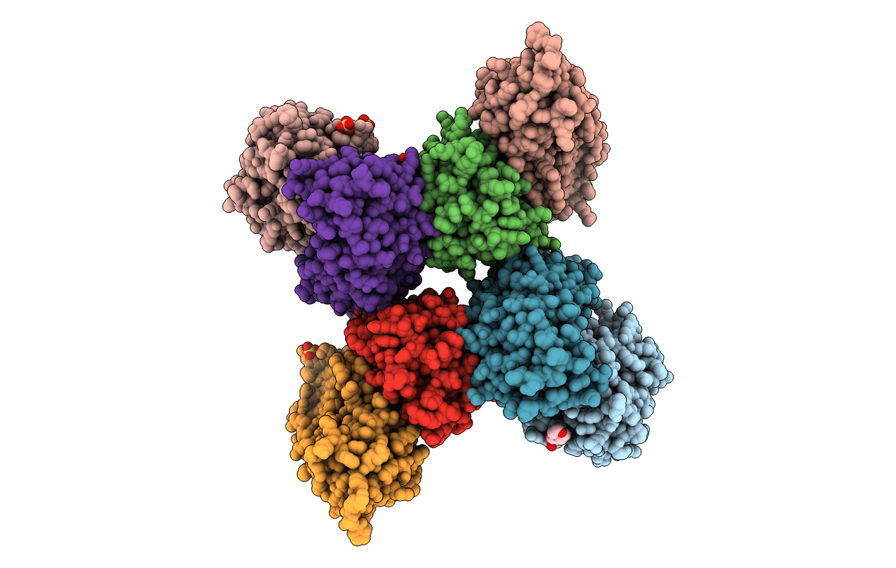 4C2B image