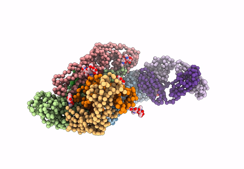 4C2I image