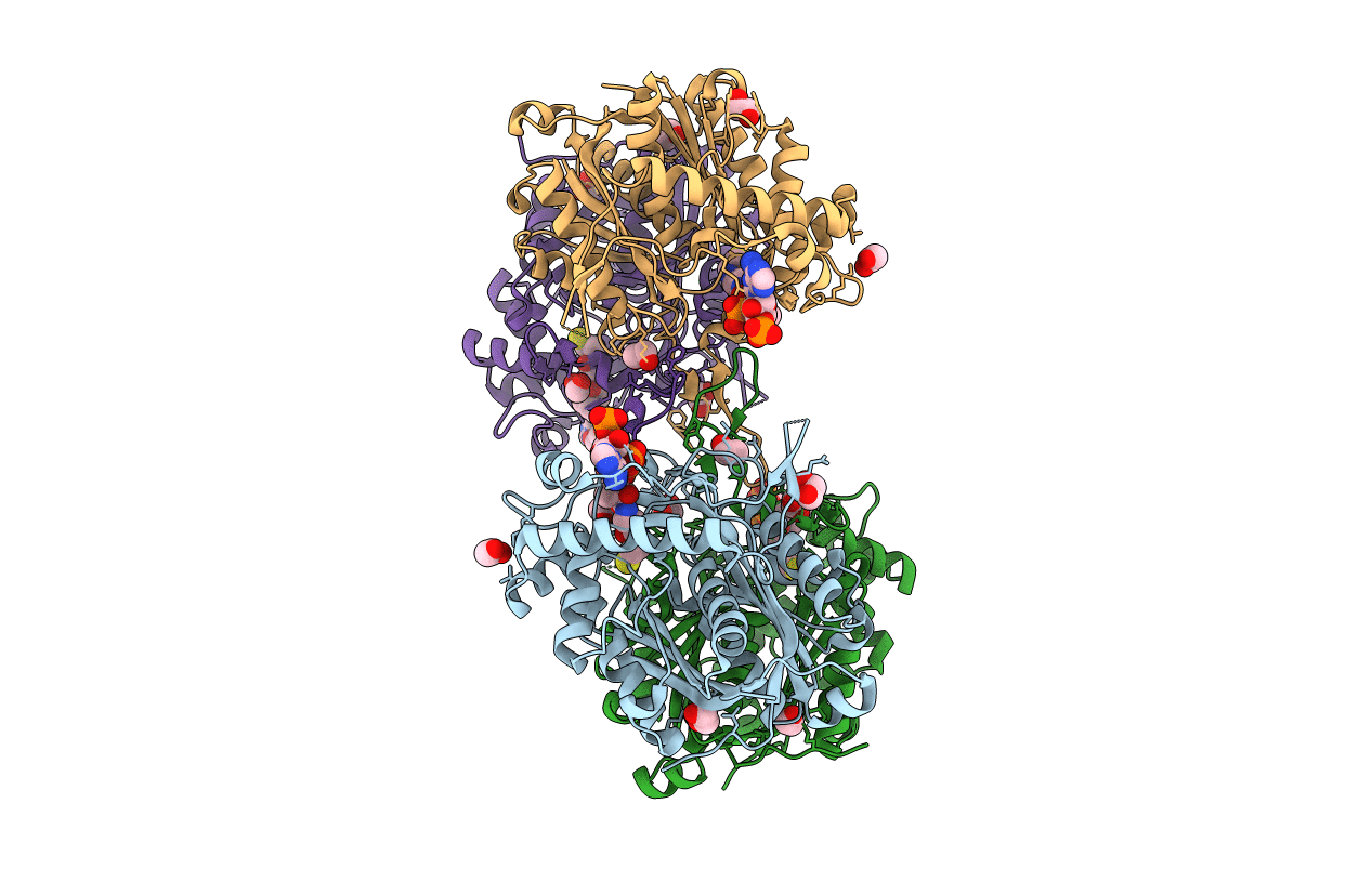 4C2J image