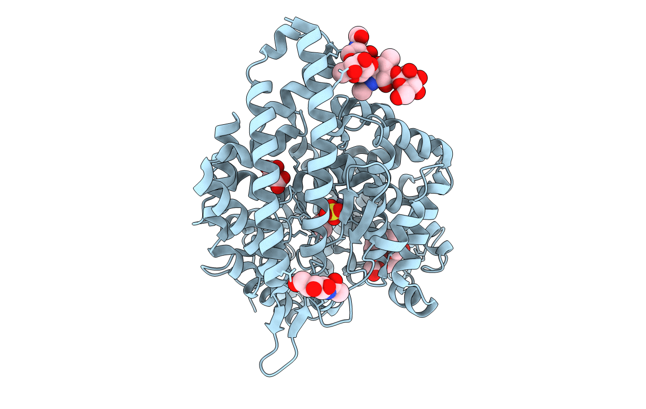 4C2O image