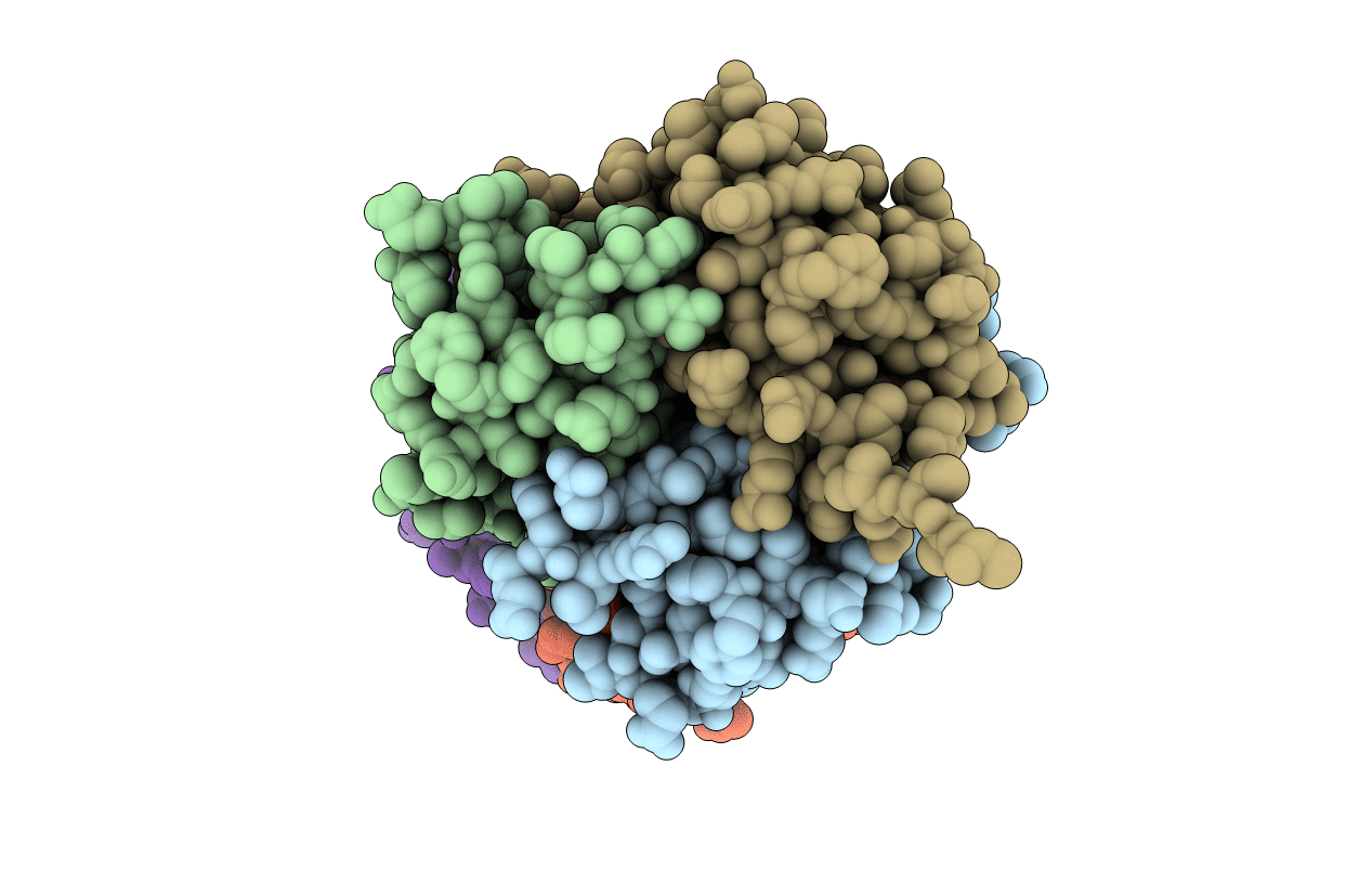 4C3K image
