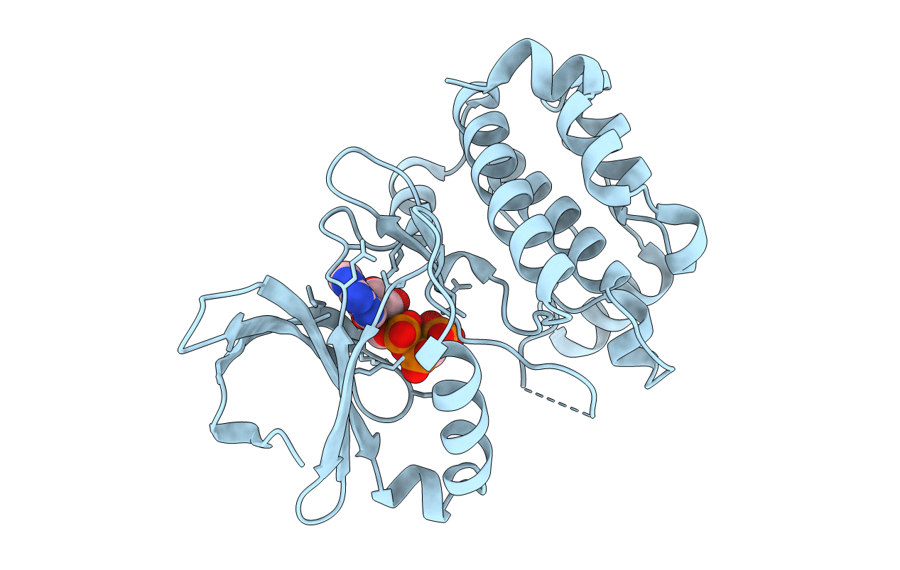 4C3R image