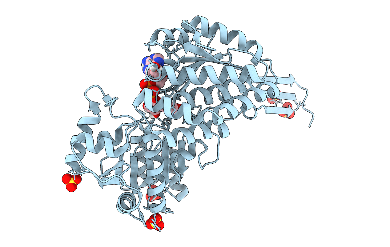 4C3S image