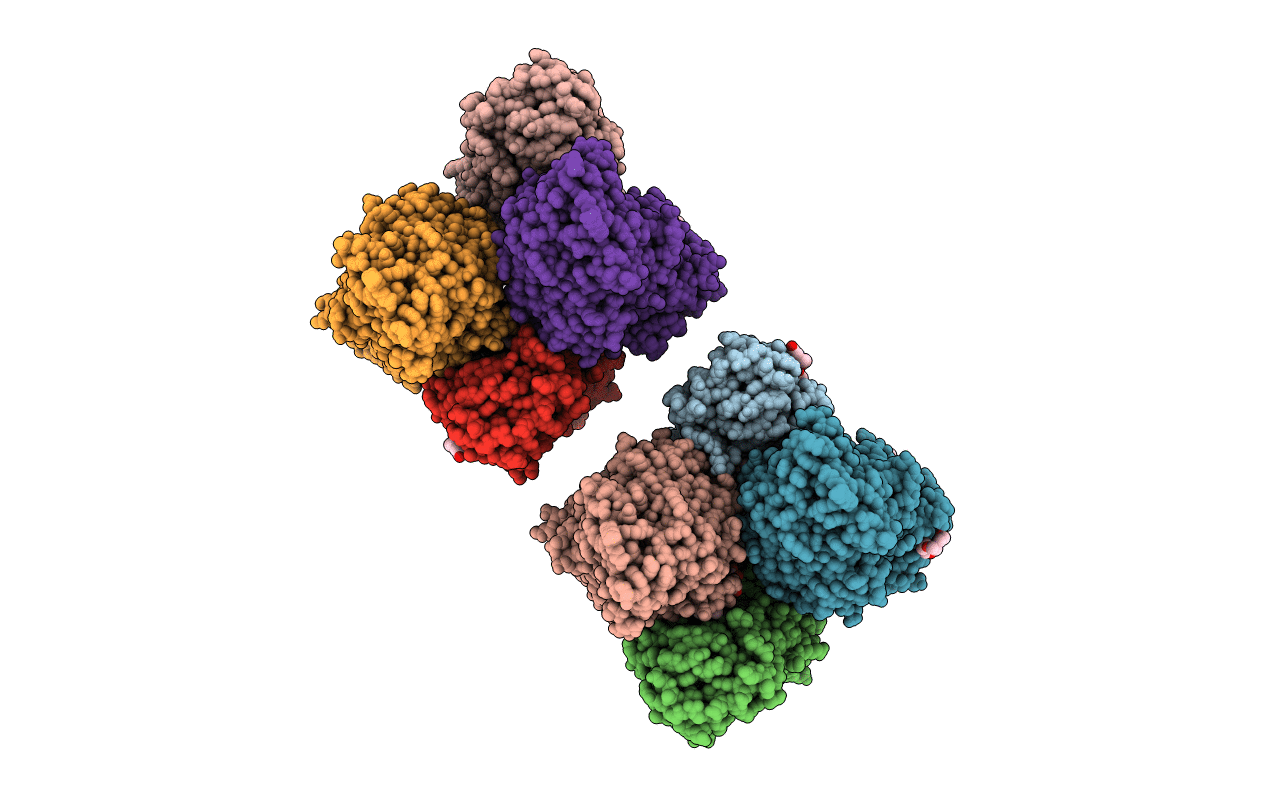 4C3X image