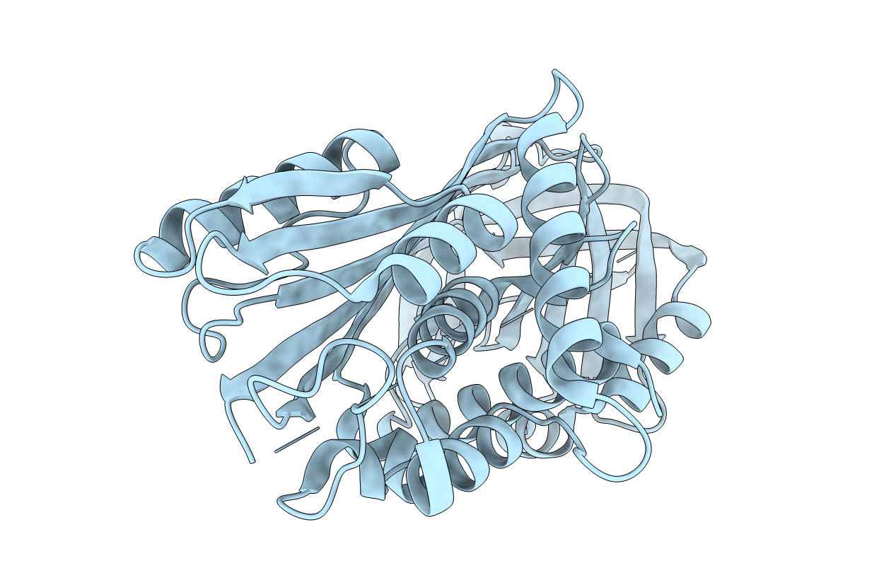 4C41 image