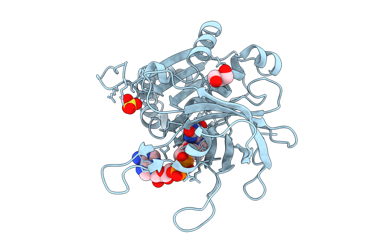 4C43 image