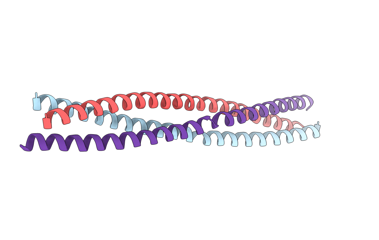 4C46 image