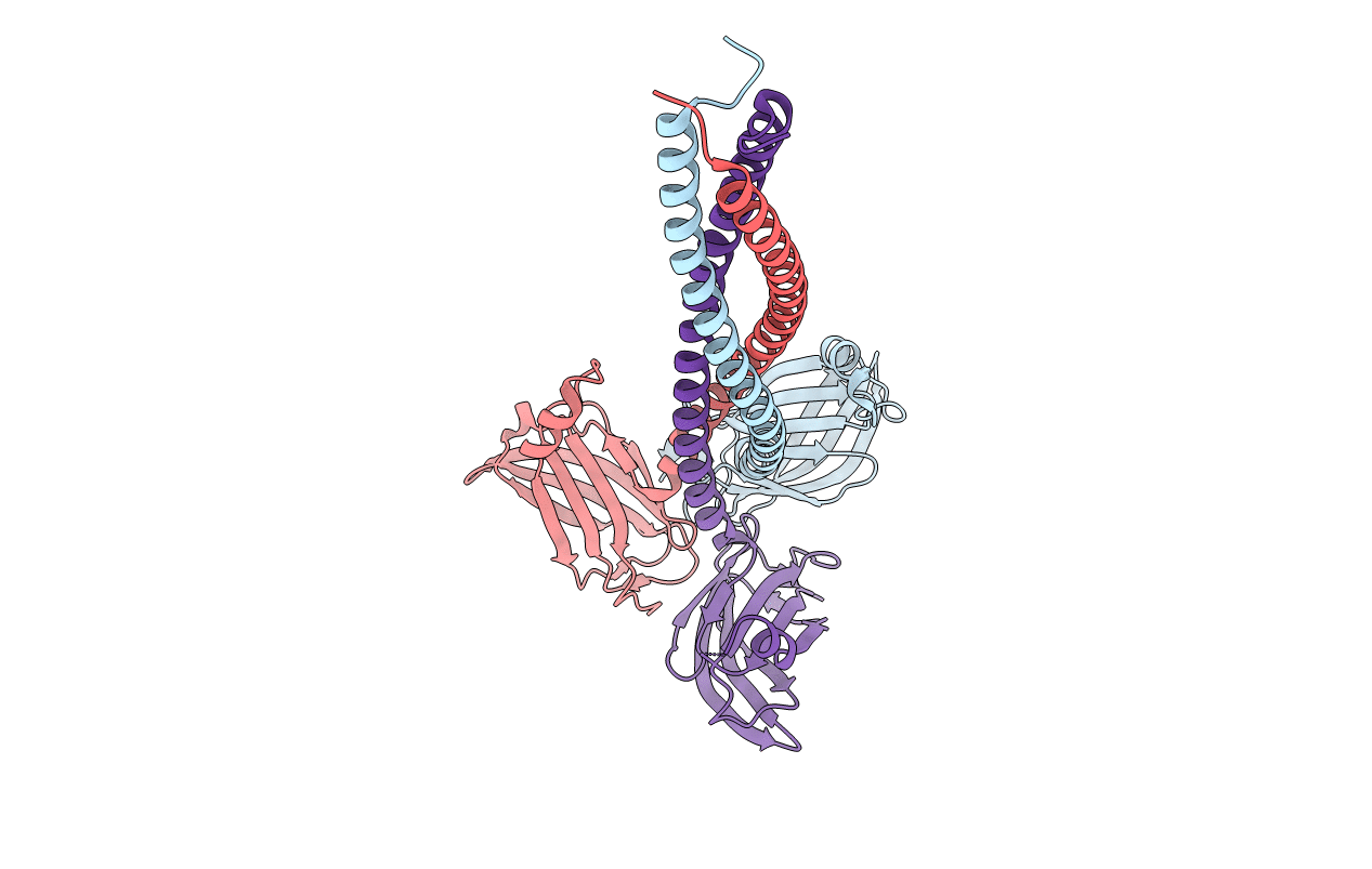 4C47 image