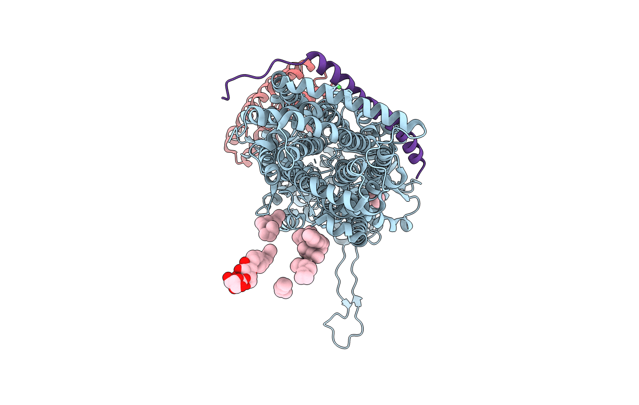 4C48 image