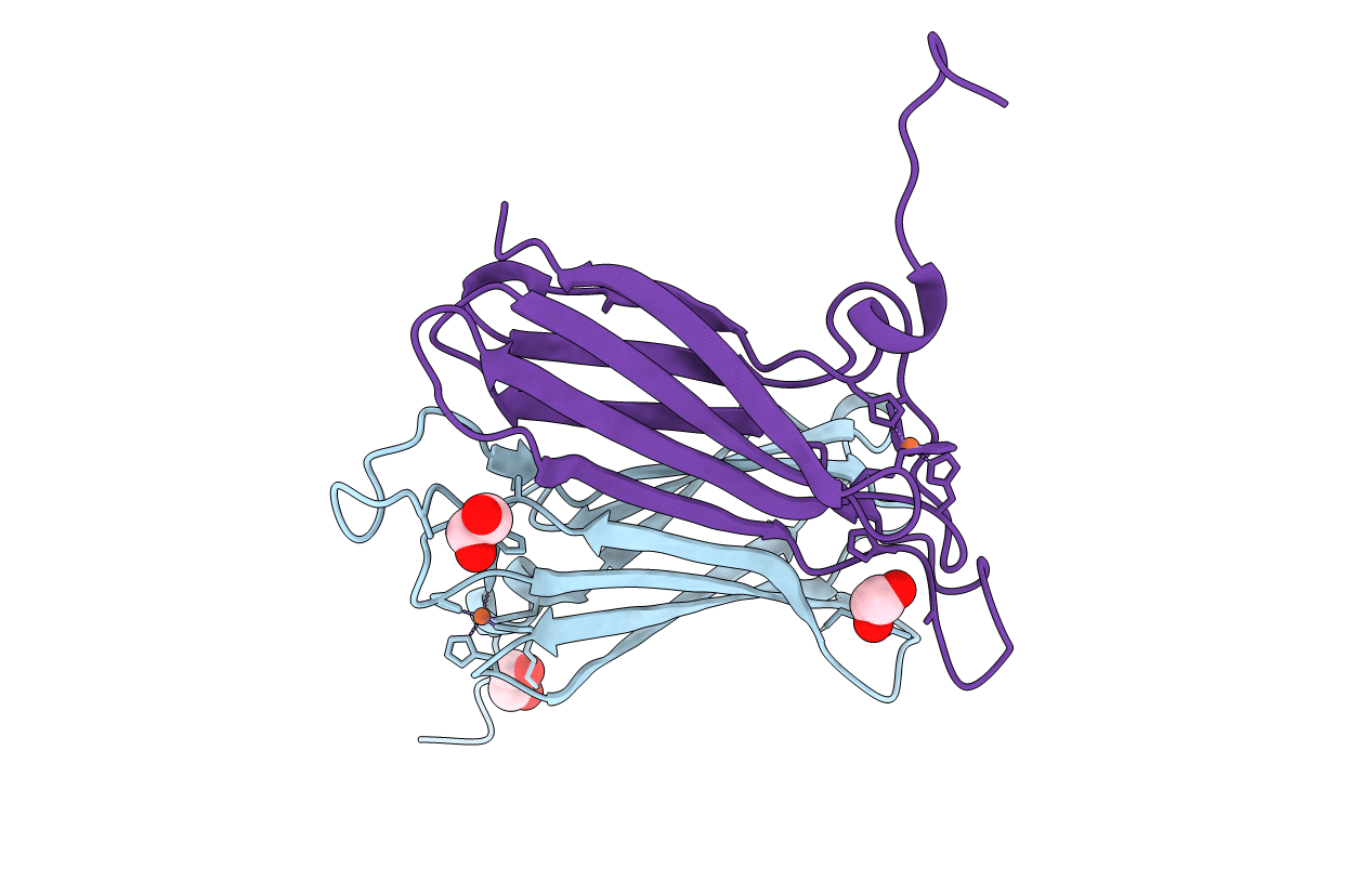 4C4B image