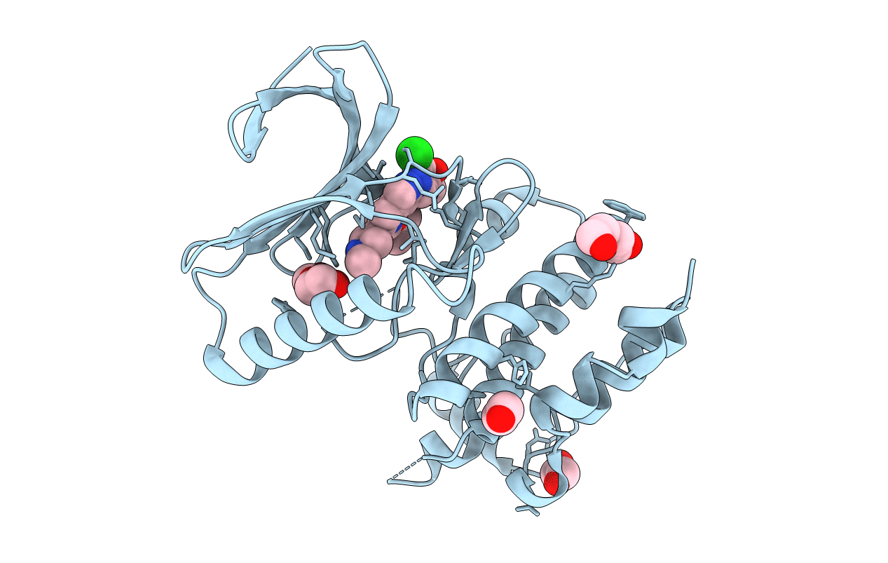 4C4G image