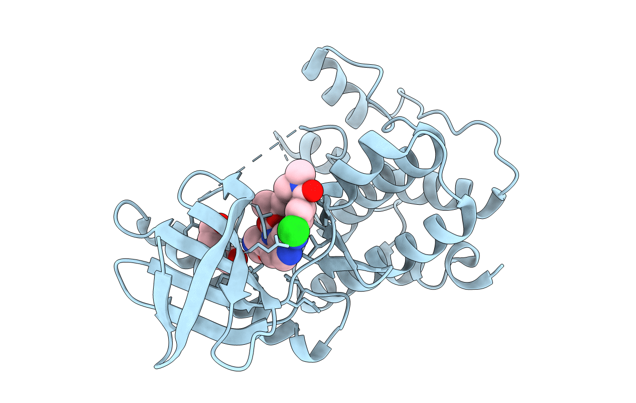 4C4I image