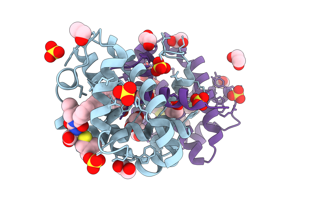 4C52 image