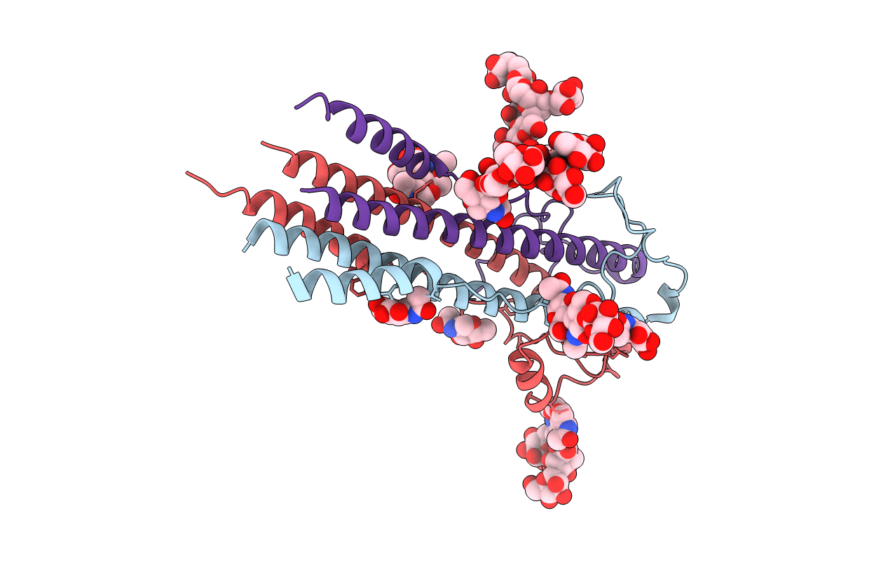 4C53 image