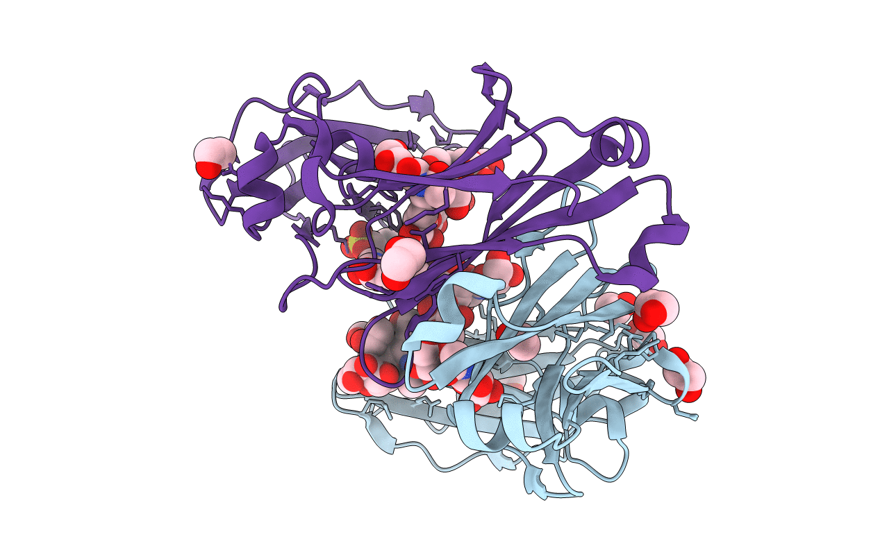 4C54 image