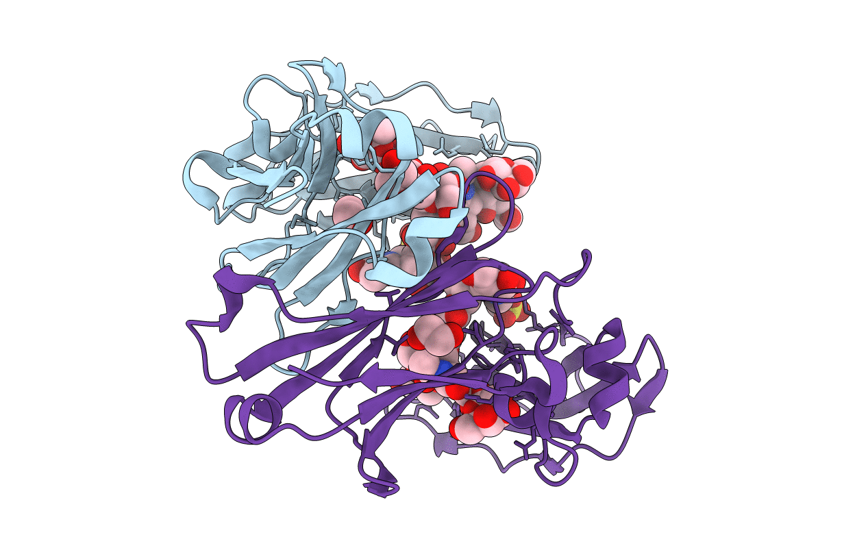 4C55 image