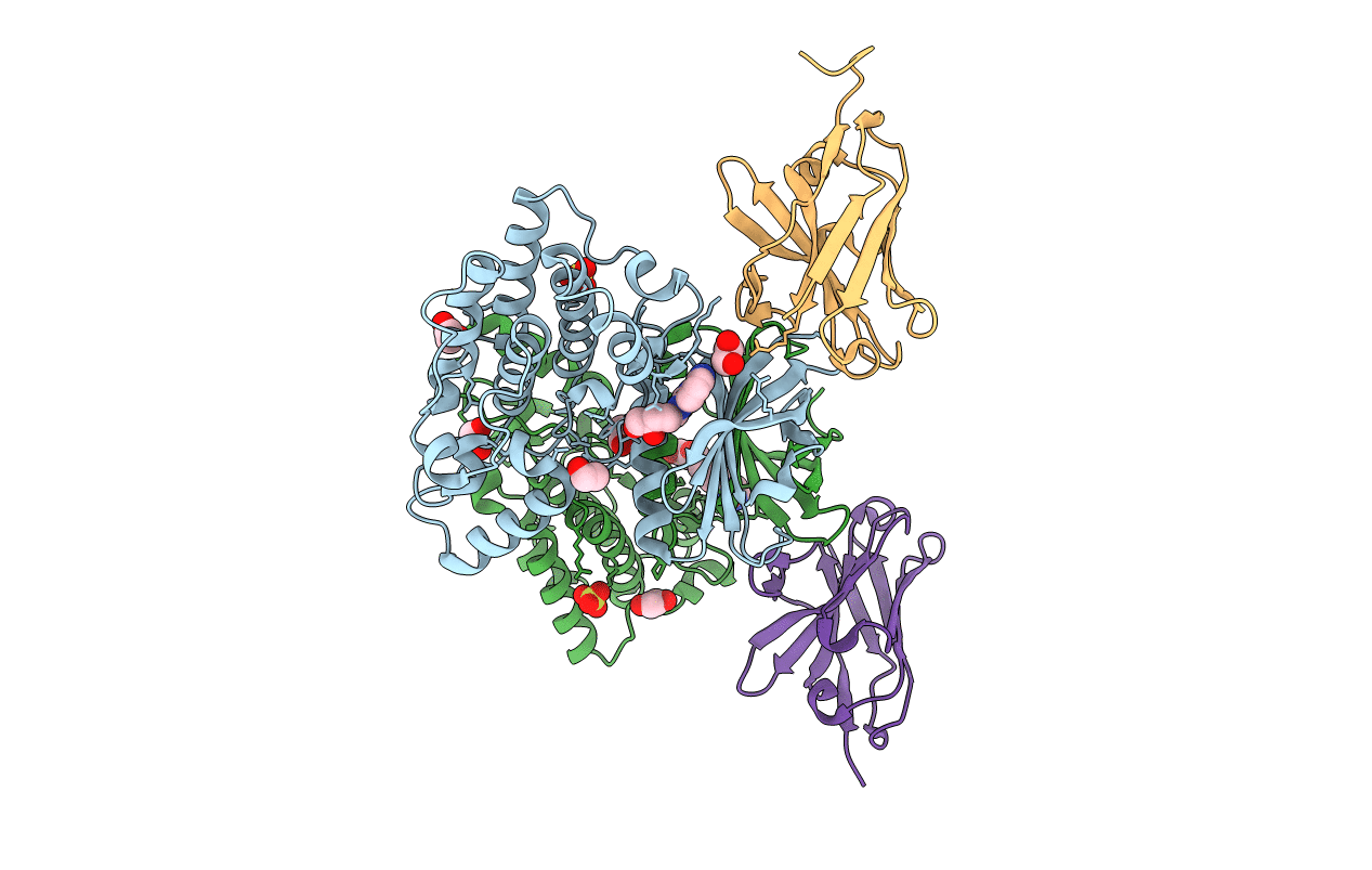 4C57 image